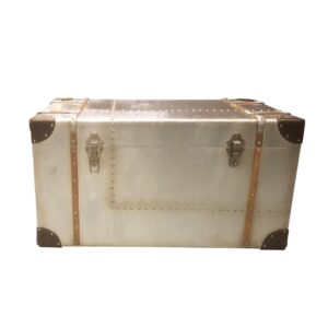 Metal Trunk