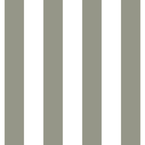 Green Stripe Bar Skirt