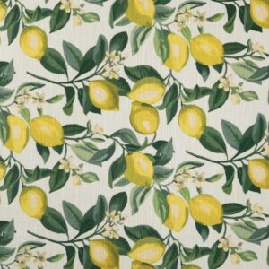 Limonata Bar Skirt